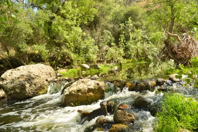 DSC_6370 (Large).JPG